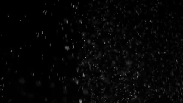 poussière nuage isolé fond noir bulle bokeh 