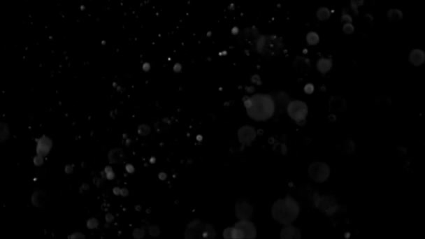 Stof Cloud geïsoleerd zwarte achtergrond Bubble Bokeh — Stockvideo