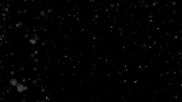 poussière nuage isolé fond noir bulle bokeh 