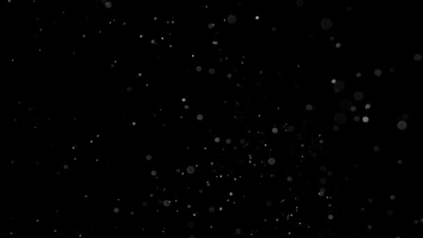 Awan debu terisolasi latar belakang hitam gelembung bokeh — Stok Video