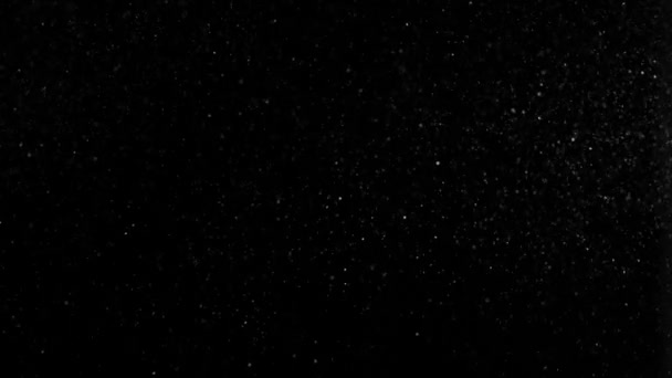 poussière nuage isolé fond noir bulle bokeh 