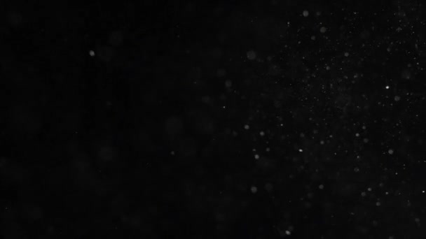 poussière nuage isolé fond noir bulle bokeh 