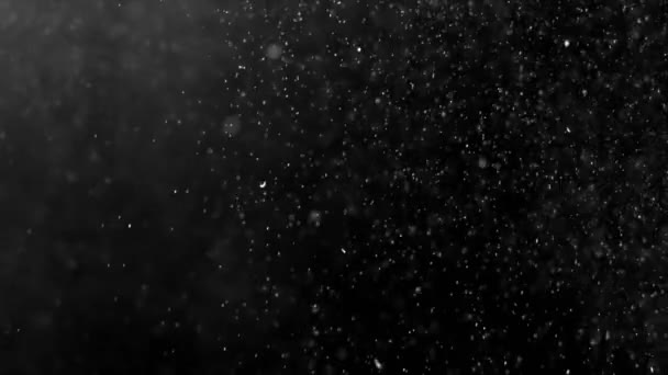 Dust Cloud Isolated Black Background Bubble Bokeh — Stock Video