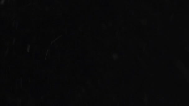 poussière nuage isolé fond noir bulle bokeh 