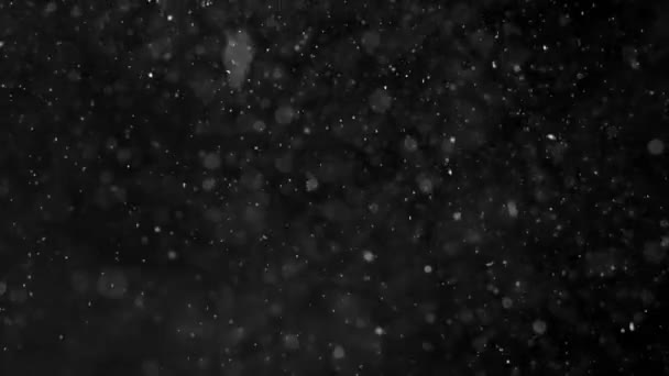 Dust Cloud Isolated Black Background Bubble Bokeh — Stock Video