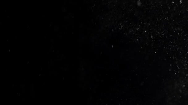 poussière nuage isolé fond noir bulle bokeh 