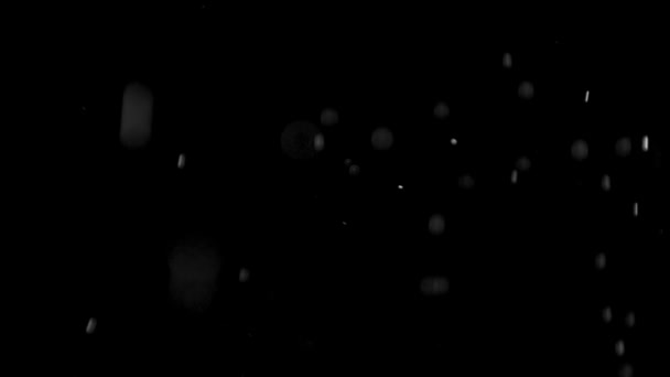 Staubwolke isoliert schwarzen Hintergrund Blase Bokeh — Stockvideo