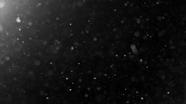 Abstract Light and Dust Particles — Stock Video