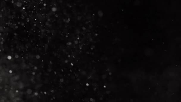 poussière nuage isolé fond noir bulle bokeh 