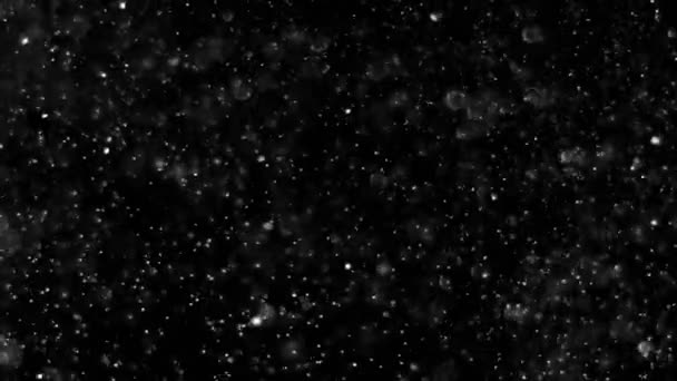 Pyły chmura na białym tle czarnym tle Bubble Bokeh — Wideo stockowe
