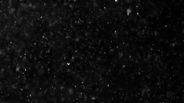 Dust Cloud Isolated Black Background Bubble Bokeh — Stock Video