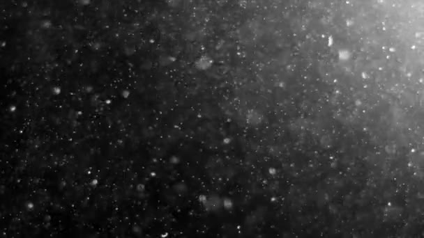 Abstract Light and Dust Particles — Stock Video