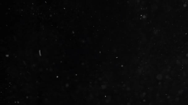 poussière nuage isolé fond noir bulle bokeh 