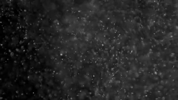 Poeira nuvem isolado fundo preto bolha bokeh — Vídeo de Stock
