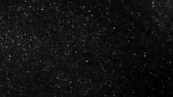 먼지 구름 고립 된 검은 배경 Bokeh 거품 — 비디오