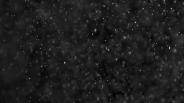 Dust Cloud Isolated Black Background Bubble Bokeh — Stock Video