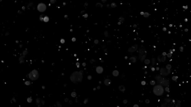 Dust Cloud Isolated Black Background Bubble Bokeh — Stock Video