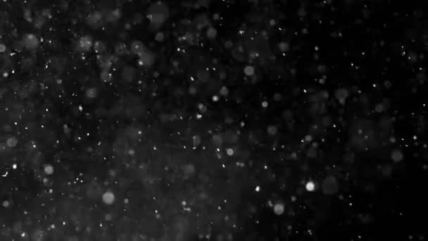 Damm moln isolerade svart bakgrund bubbla Bokeh — Stockvideo