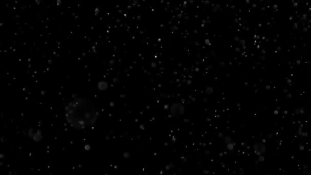 poussière nuage isolé fond noir bulle bokeh 