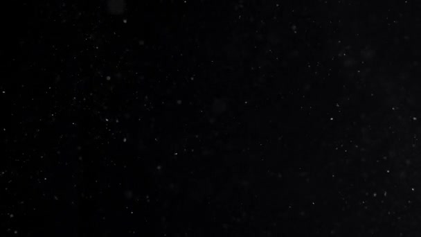 poussière nuage isolé fond noir bulle bokeh 