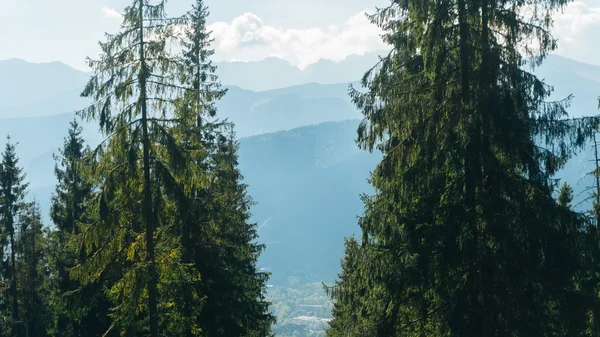 Valey Gasienicowa in Tatra mountains in Zakopane — Stockfoto