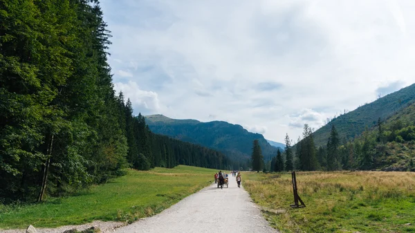 Blick auf das Koscielisko-Tal in der polnischen Tatra — Stockfoto