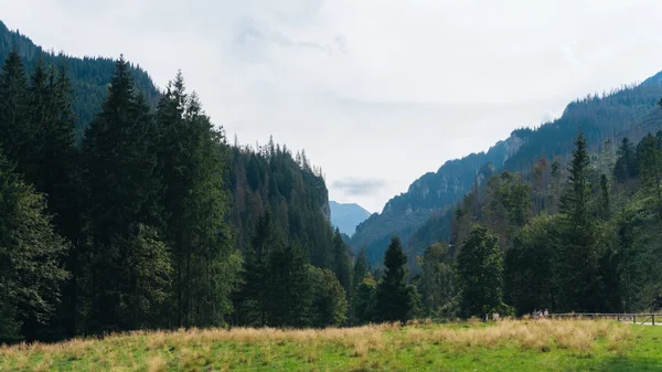 Uitzicht over Koscielisko vallei in Poolse Tatra — Stockfoto