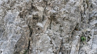 gri taş doku arkaplanı