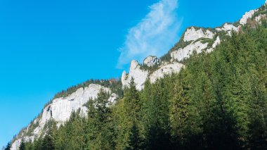 Polonya Tatras vadide Koscielisko görünümünü