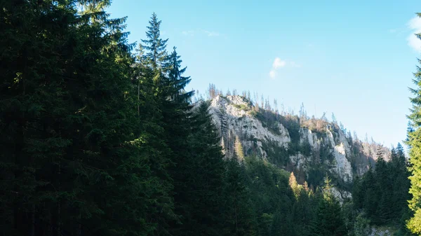 Uitzicht over Koscielisko vallei in Poolse Tatra — Stockfoto