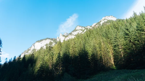 Uitzicht over Koscielisko vallei in Poolse Tatra — Stockfoto
