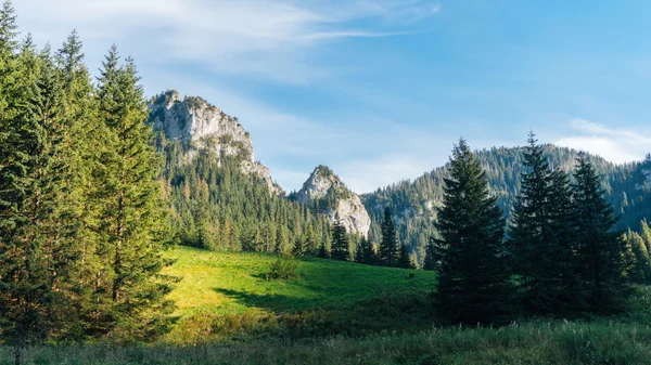 Blick auf das Koscielisko-Tal in der polnischen Tatra — Stockfoto