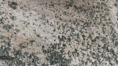 Taş doku arka plan Miekinia somaki taşı