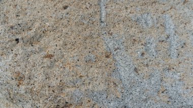 Taş arka plan doku. Pieniny andezit