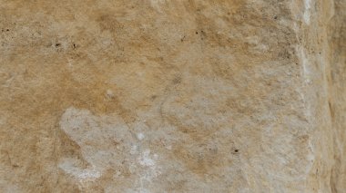 Diplopora Dolomit Rock Katmanlar. Kalem ölçek için.