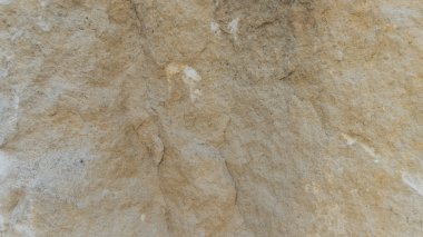 Diplopora Dolomit Rock Katmanlar. Kalem ölçek için.