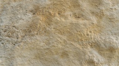 Diplopora Dolomit Rock Katmanlar. Kalem ölçek için.