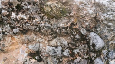 Myslachowice konglomera taş