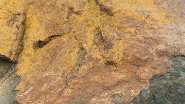 Taş doku arka plan Istebna kumtaşı