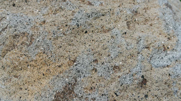 Fondo de textura de piedra. Andesita pieninosa — Foto de Stock