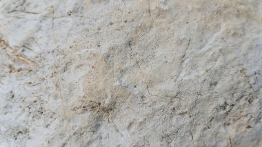 Üst kireçtaşı Jurassic bej ünlü