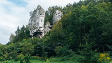 Arka plan gökyüzü ve ağaçlar üzerinde kayalık dağ