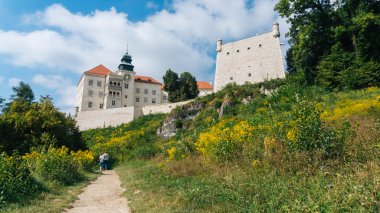 pieskowa skala Kalesi