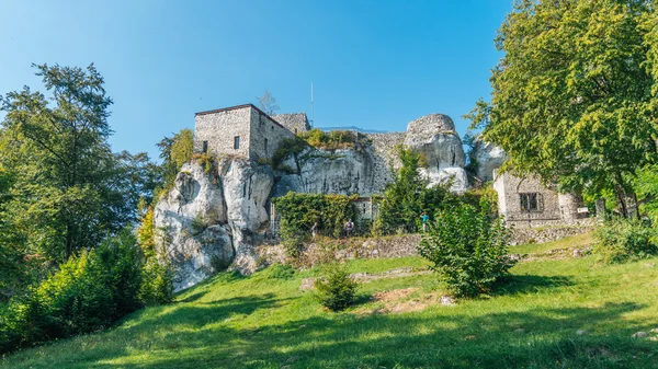 Bakowiec Castle Ruins — Stock Photo, Image