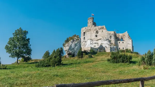 The Castle in Mirow — Stock Photo, Image