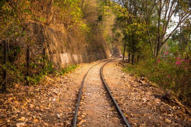 Ölüm demiryolu ormana.
