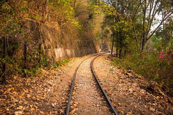 Ölüm demiryolu ormana.