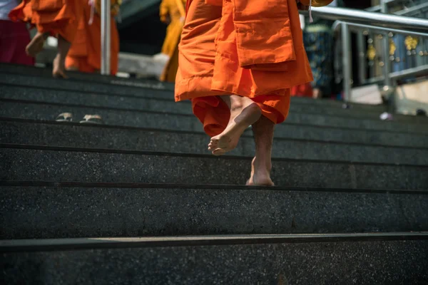 Měkký parafin cestu Monk. — Stock fotografie