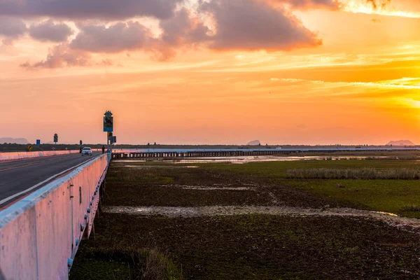 Günbatımı altında ıslak toprak, köprüde araba.