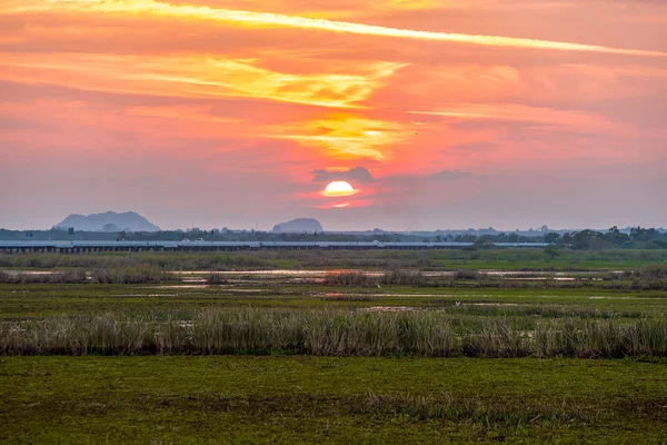 Sunset at wetland. — Stock fotografie